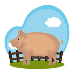 pig animal farm in the field vector illustration design
