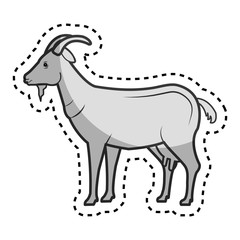 goat animal farm in the field vector illustration design