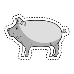 pig animal farm in the field vector illustration design