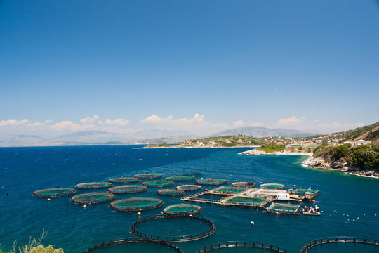 Fish farm in the sea. View from mountain. Floating fish farm and breeding fry in trays grids. Corfu island (Kerkyra). Sidari region. Greece