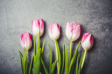 Pink and white tulip flowers on gray rock surface.
