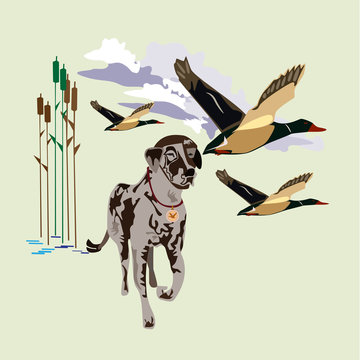 Hunting ducks concept vector illustration in flat style