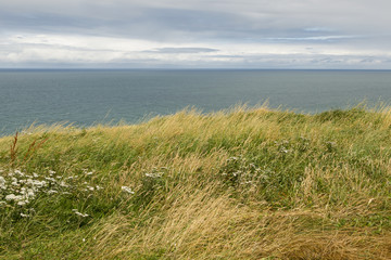 Famous cliffs of Etretat - Normandy (France)