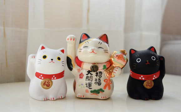 a lucky Japanese cats on blurred white background