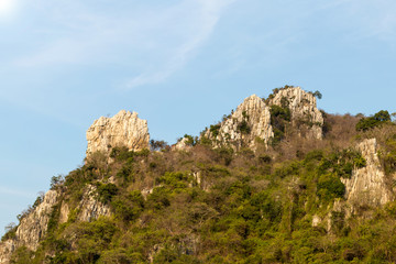 Fototapeta na wymiar Mountain rock cliff with timber.