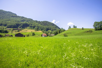 Idyllic landscape in the Alps