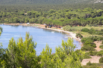 Obraz premium Summer landscape with green bushes on Sardinia Island