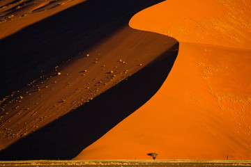 Shot of Namib desert - Sossusvlei - Namibia © Radek