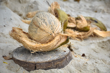 Peeled coconut and peel beside it