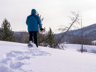 woman breaking snowshoe trail, landscape orientation