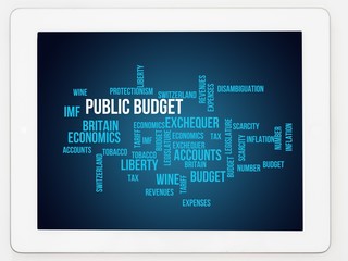 public budget
