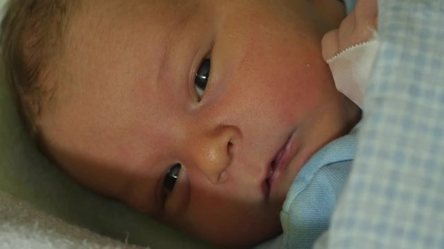 portrait of 2 days old newborn laying on bed in hospital