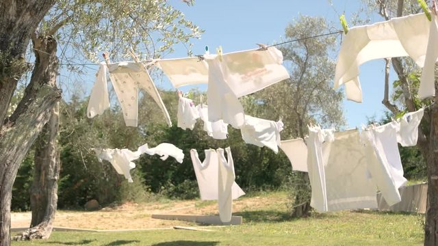Clothes hanging on rope. Grass, trees and blue sky. Best washing powder.