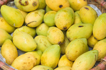 Yellow mango. Asian tropical fruits.