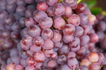 Bunch of grapes. Asian tropical fruits.