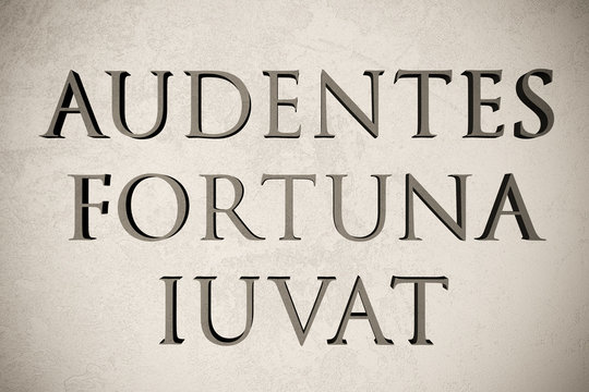 Latin quote "Audentes fortuna iuvat" on stone background, 3d illustration - meaning "Fortune favours the bold"