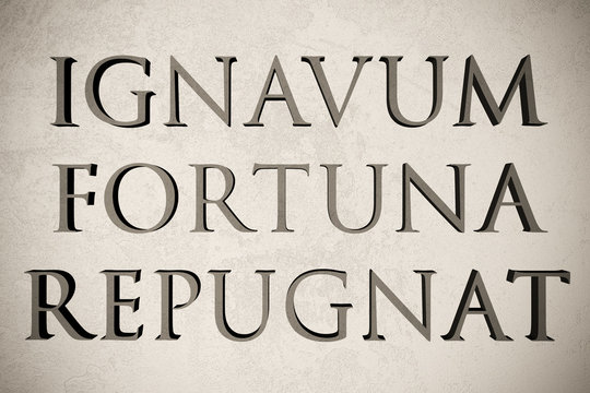 Latin quote "Ignavum fortuna repugnat" on stone background, 3d illustration - meaning "Fortune disdains the lazy"