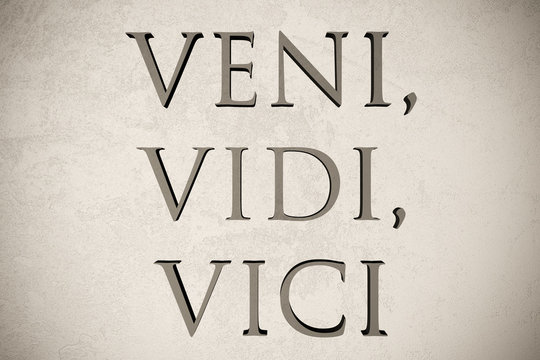 Latin quote Veni, vidi, vici on stone background, 3d illustration -  meaning I came, I saw, I conquered Stock Illustration