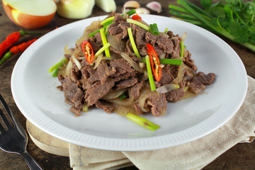 stir fried beef with onion and spring onion