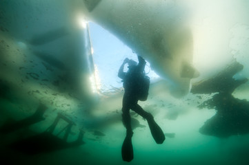 Fototapeta na wymiar Diver under the ice