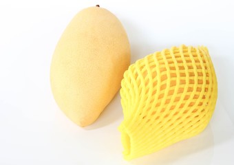 mango in net