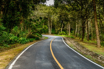 Yellow curve road sign