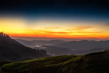 Obraz premium Tea plantation before sunrise, Cameron highlands, Malaysia