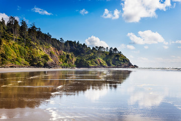 The Cape Disappointment end of Long Beach, Washington with the cliffs reflected in wet sand - obrazy, fototapety, plakaty