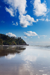 Long Beach, Washington at North Head on Cape Disappointment on a sunny Spring afternoon