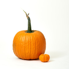 Big pumpkin with handle with small pumpkin on the side