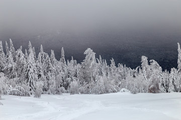 Winter in the mountains