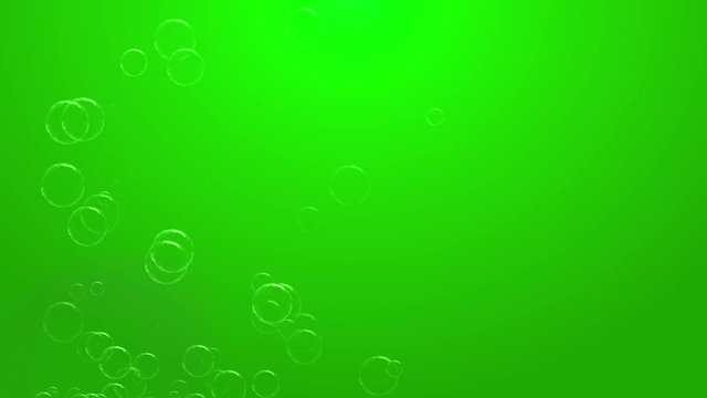 Soapbubbles on Green Background -    Video Footage 