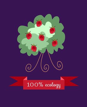 Raspberry bush on dark - lilac background. Beautiful packaging for juice, jam, marmalade. Vector illustration.