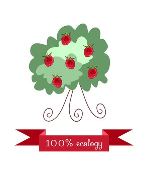 Raspberry bush on white background. Beautiful packaging for juice, jam, marmalade. Vector illustration.