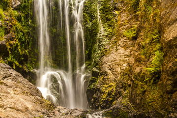 Fototapeta na wymiar beautiful water fall in forest, new zealand, waipu, piroa falls