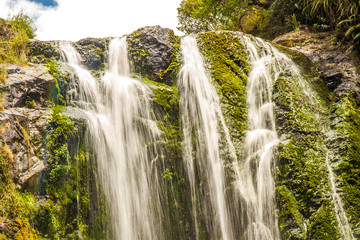 beautiful water fall in forest, new zealand, waipu, piroa falls