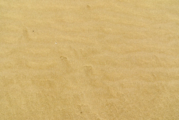 sand texture