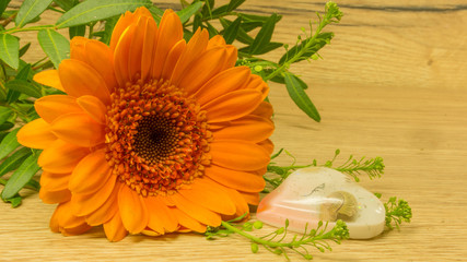 Blumenblüte mit Herz auf Holz - Gerbera in Orange