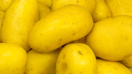Bio-Kartoffeln frisch
