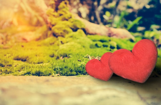 Love concept for Valentine's Day. Two red hearts on rock over moss background
