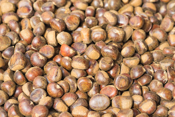 Chesnut background