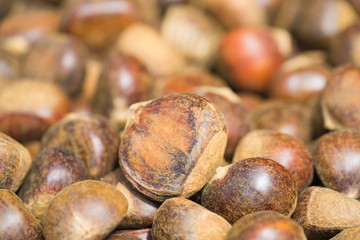 Chesnut background