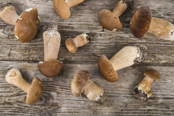 Raw mushrooms on a wooden table. Boletus edulis and chanterelles