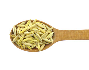 Oat grains on wooden spoon
