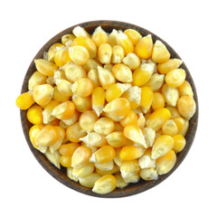 Corn grains