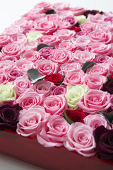 花　フラワーボックス　バラ　ピンク