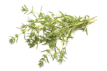 Bunch of thyme