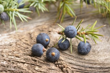 Juniper berries