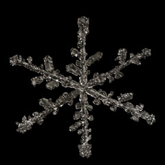 Extreme magnification - Real snowflake on black background