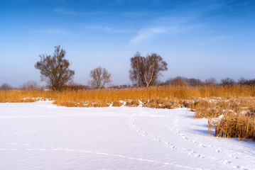 Zalew Dojlidy,Białystok © podlaski49